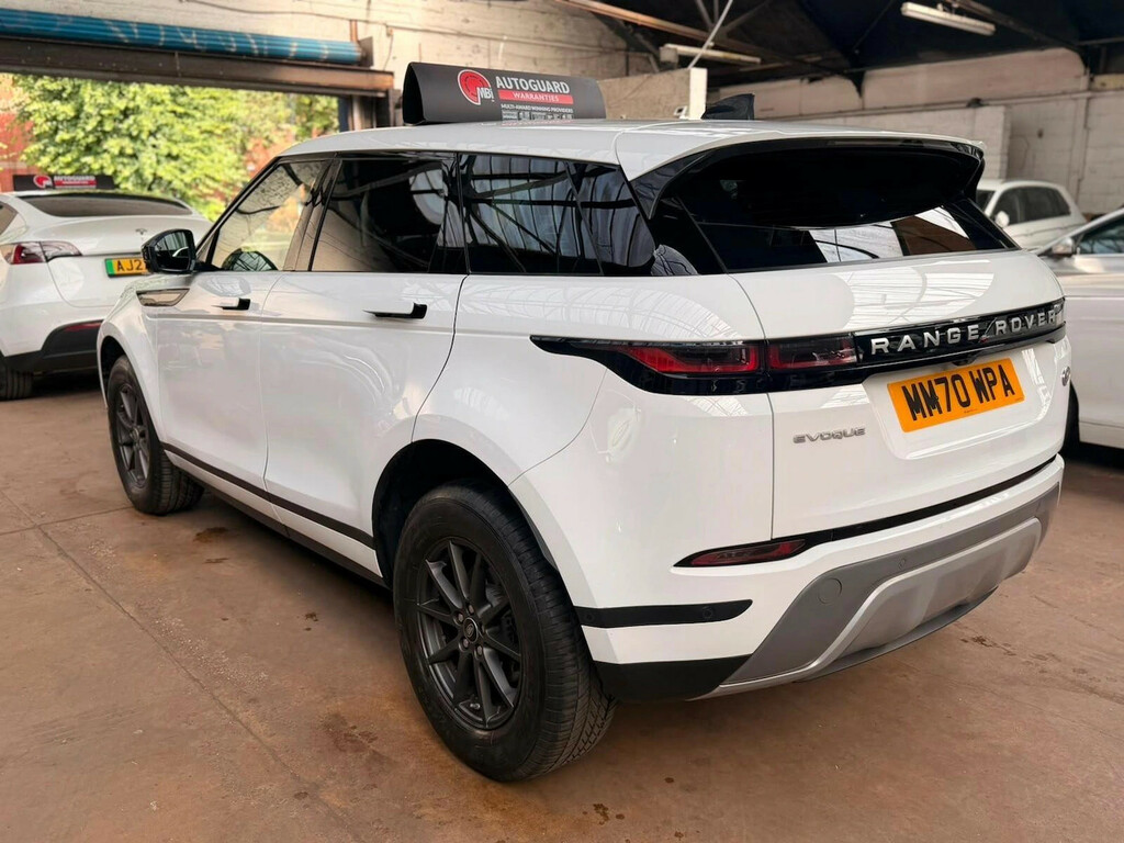 Land Rover Range Rover Evoque 2.0 D165 Mhev 4Wd Euro 6 S S Suv D MM70WPA White #5
