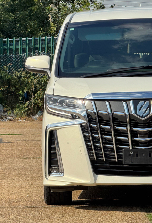 Toyota Alphard Mpv Grey #82