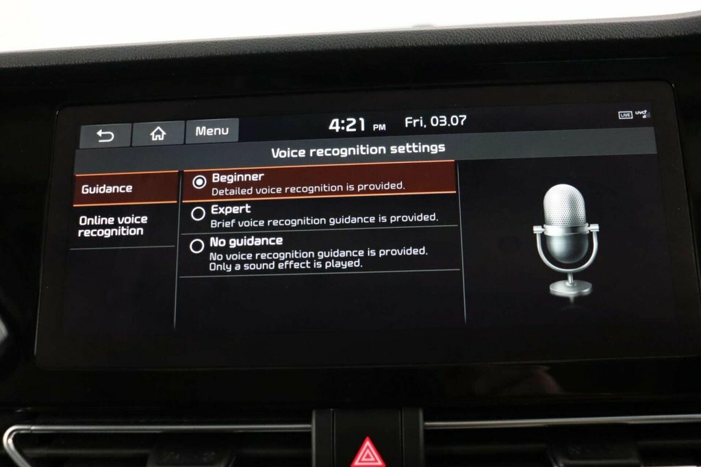Kia e-Niro Kia Estate 150Kw 4 64Kwh Blue #49