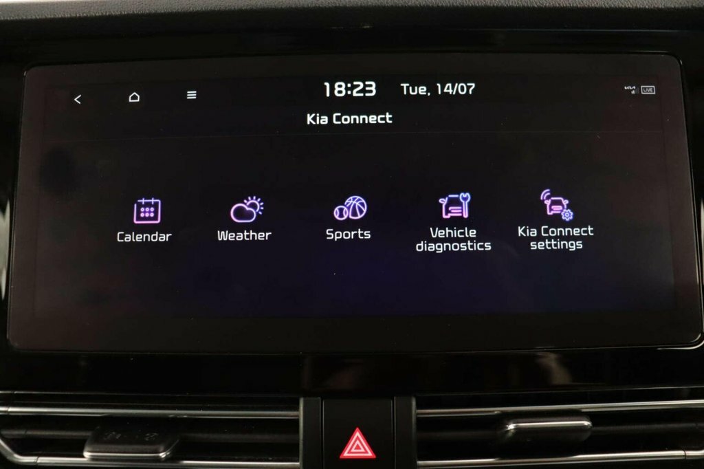 Kia e-Niro 4 Grey #39
