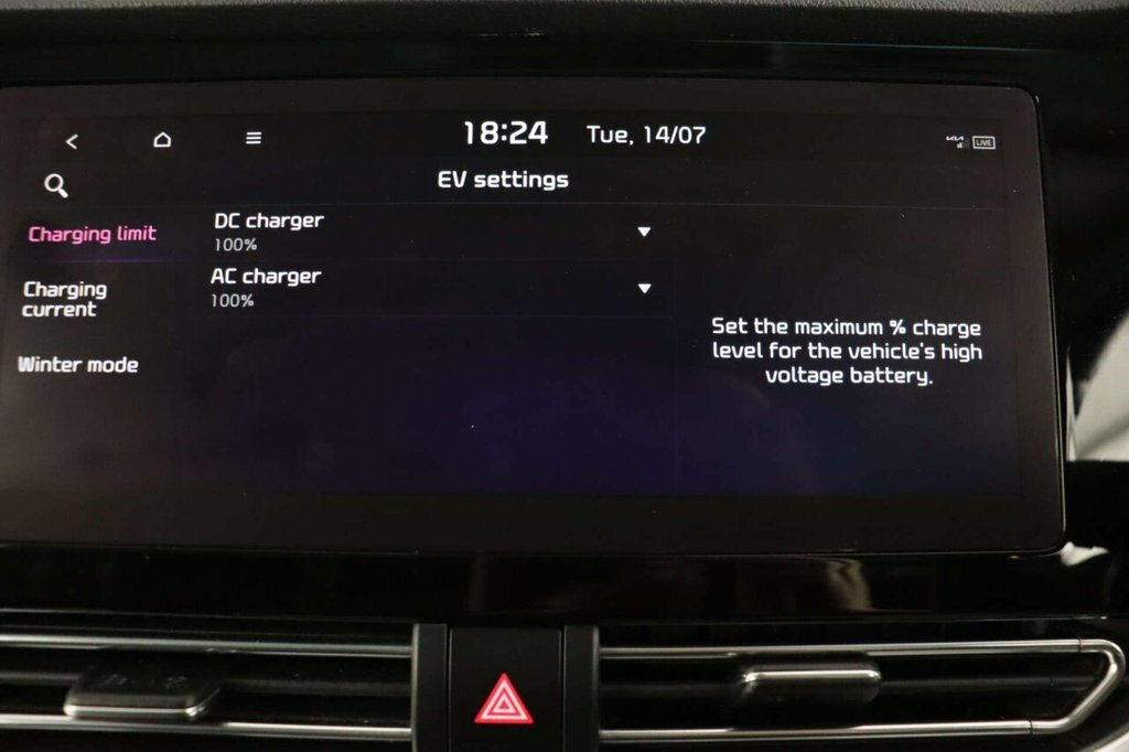 Kia e-Niro 4 Grey #42