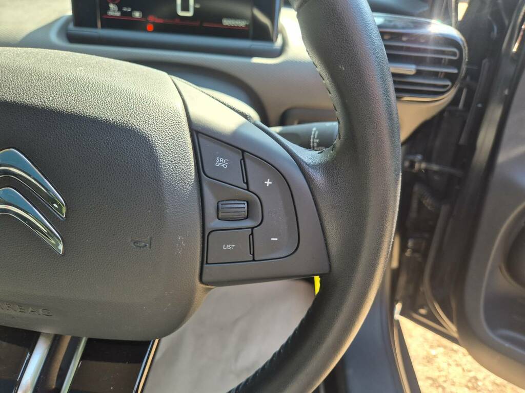 Citroen C4 Cactus #19