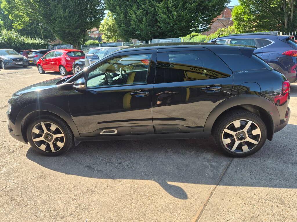 Citroen C4 Cactus #12