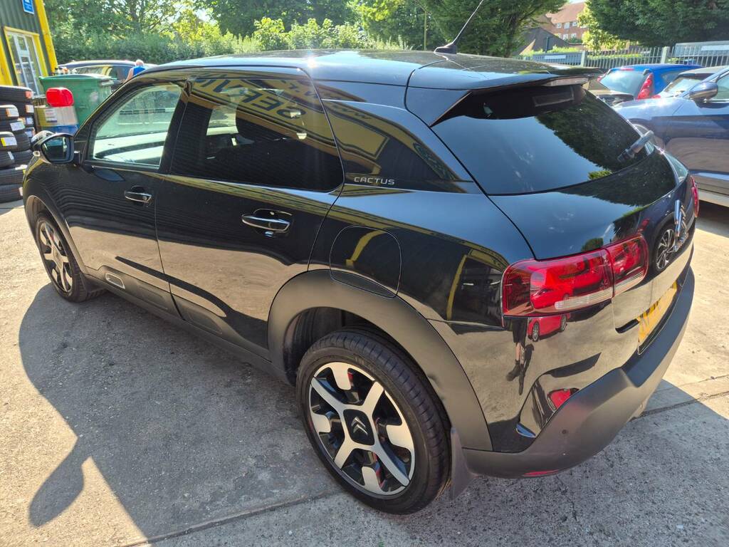Citroen C4 Cactus #11