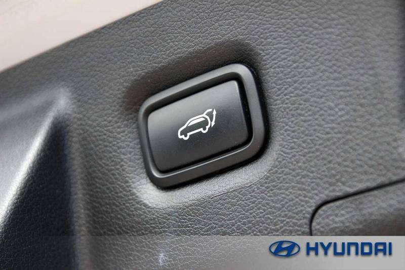 Hyundai Santa Fe Ultimate White #11