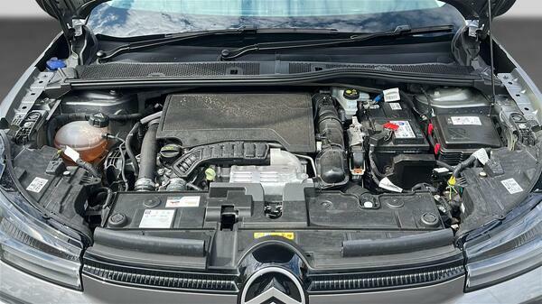 Citroen C4 Max White #47