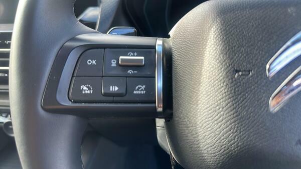Citroen C5 X 1.2 Puretech Plus Eat8 Euro 6 Ss Blue #20