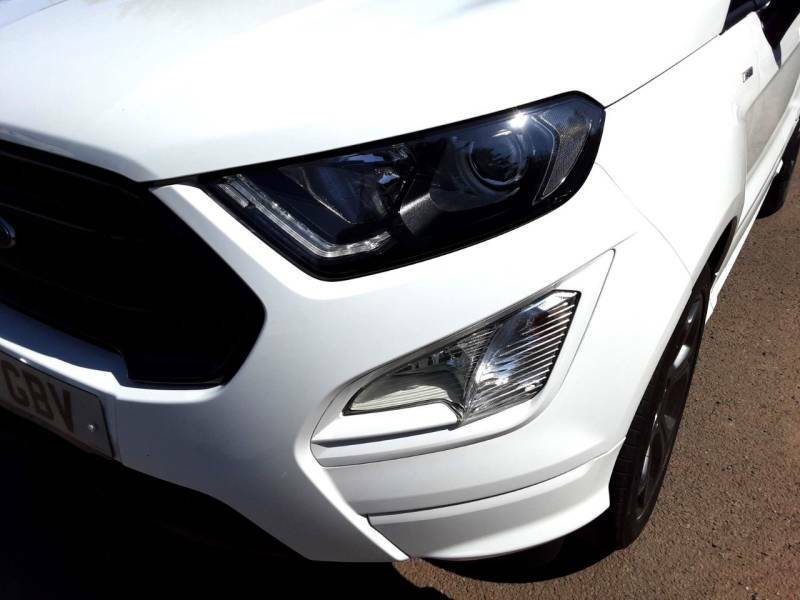 Ford Ecosport St-line White #37