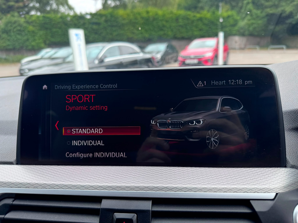 BMW X3 X3 Xdrive30d Xline Grey #27