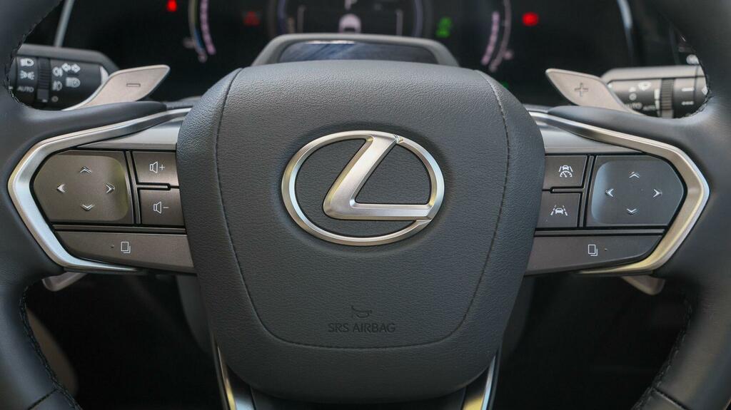 Lexus NX Nx450h F Sport Takumi Silver #10