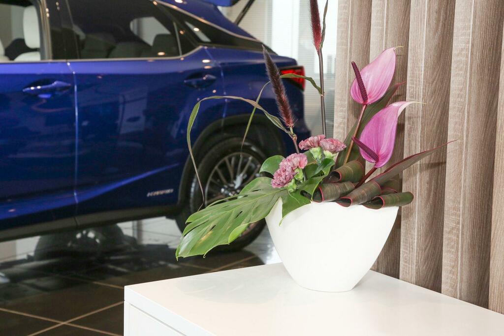 Lexus NX 2.5 350H Premium Suv Hybrid E-cvt 4Wd E #5