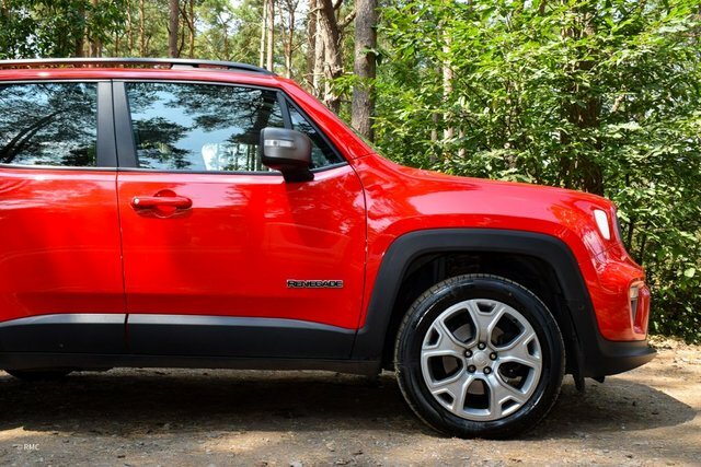 Jeep Renegade Longitude Grey #15