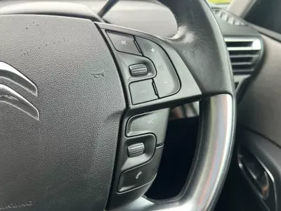 Citroen C4 Picasso Picasso 1.6 E-hdi Airdream Exclusive Euro 5 Ss Brown #17