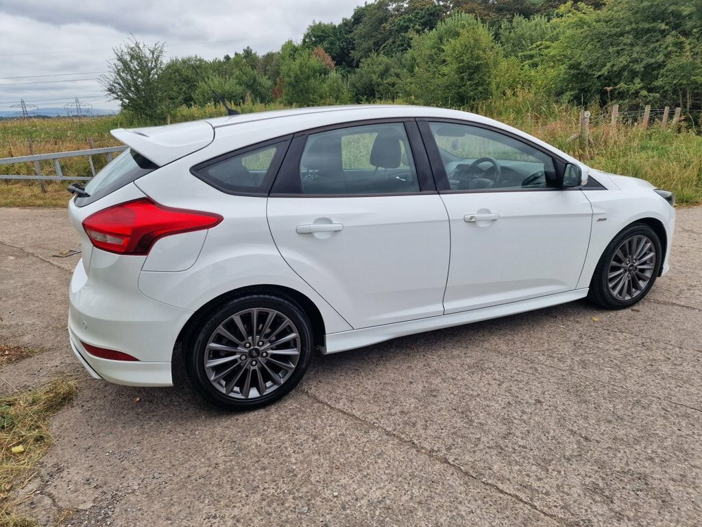 Ford Focus 1.5L St-line White #5