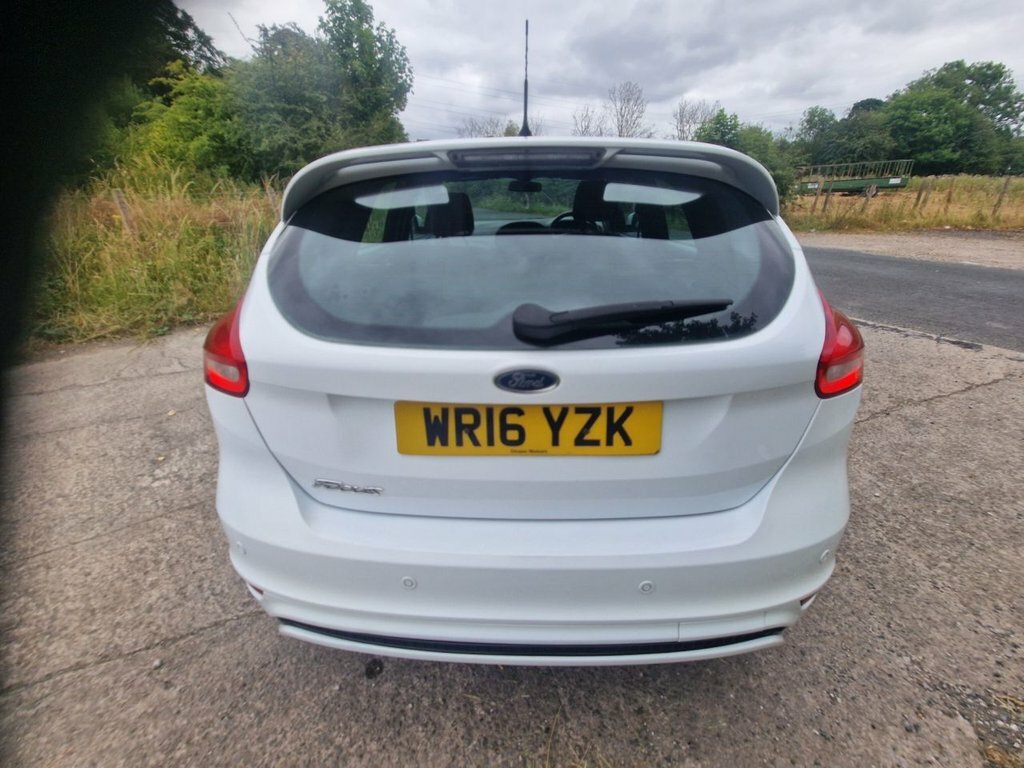 Ford Focus 1.5L St-line White #6