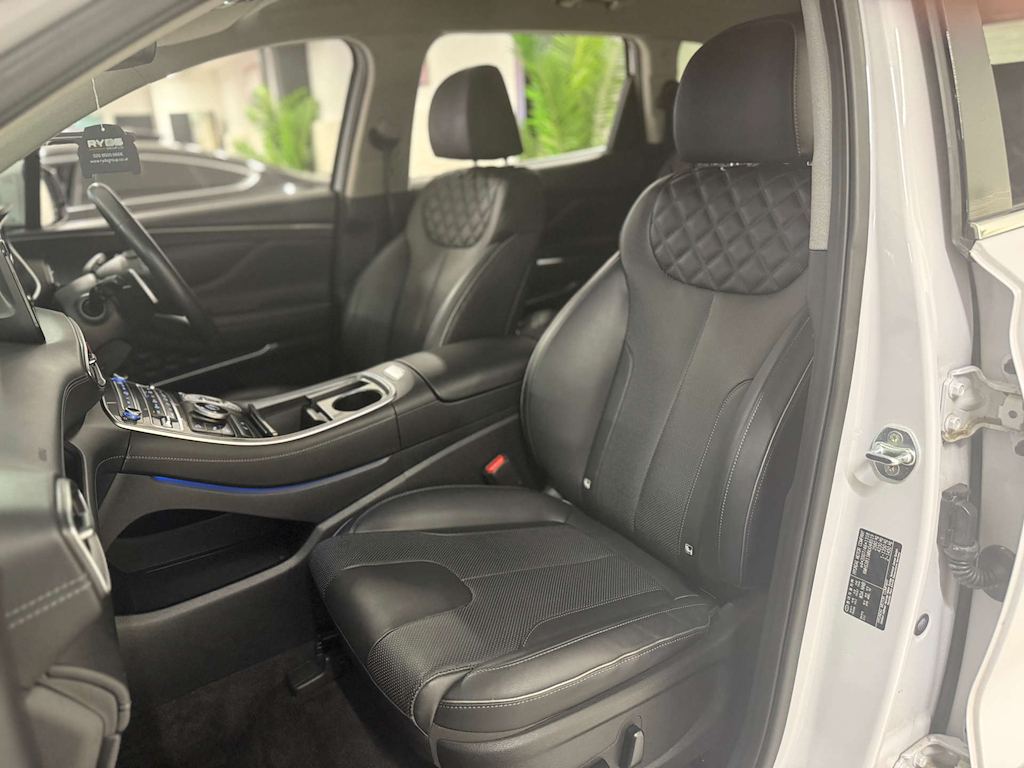 Hyundai Santa Fe 1.6 Tgdi Plug-in Hybrid Premium 4Wd  #19