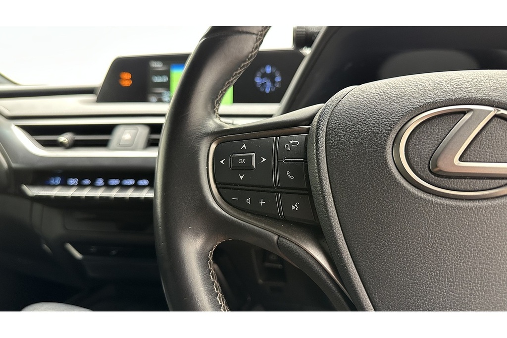 Lexus UX 2.0 250H Premium E-cvt Euro 6 Ss Red #31