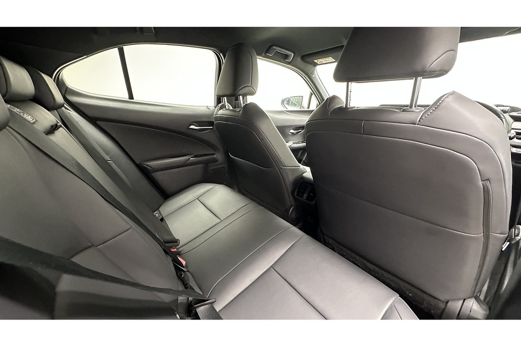 Lexus UX 2.0 250H Premium E-cvt Euro 6 Ss Red #22