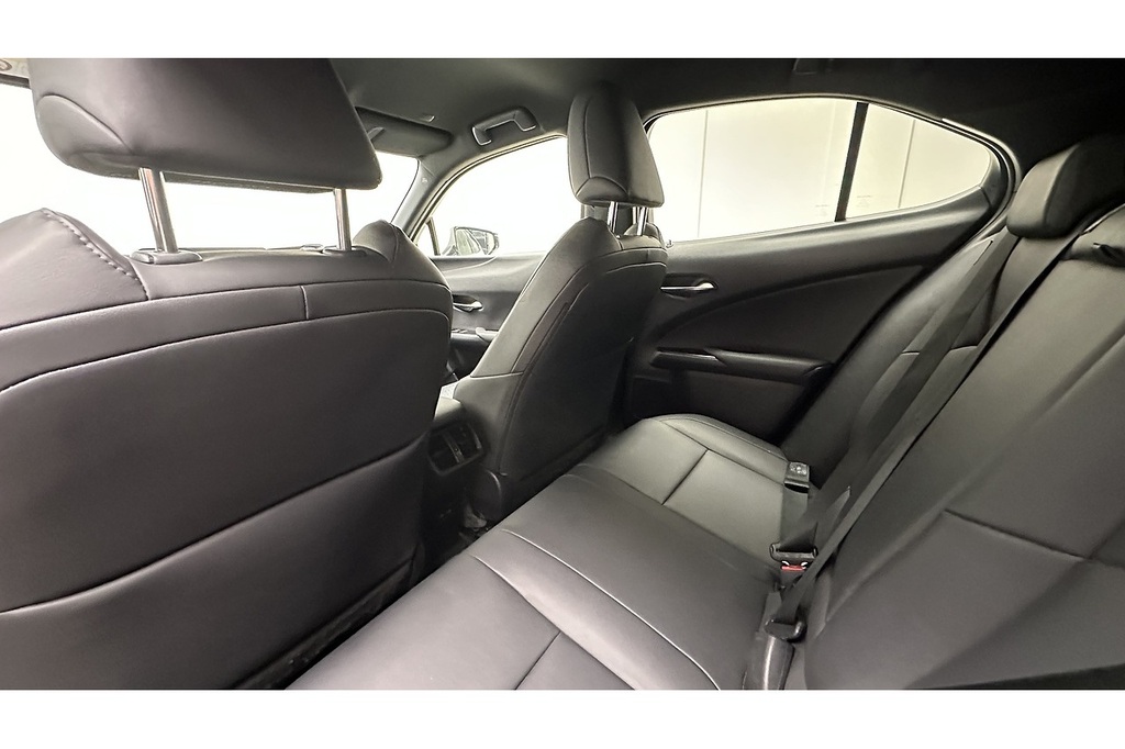 Lexus UX 2.0 250H Premium E-cvt Euro 6 Ss Red #20