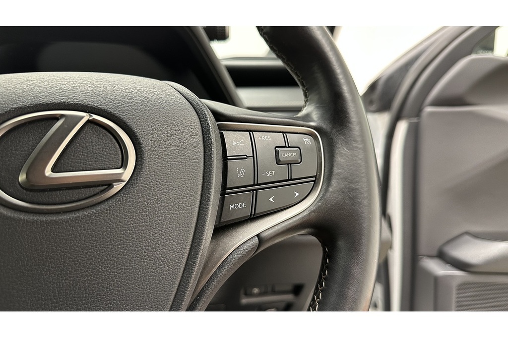 Lexus UX 2.0 250H Premium E-cvt Euro 6 Ss Red #32