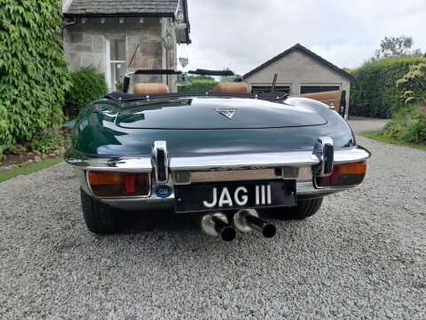 Jaguar E-Type V12 Roadster Green #5