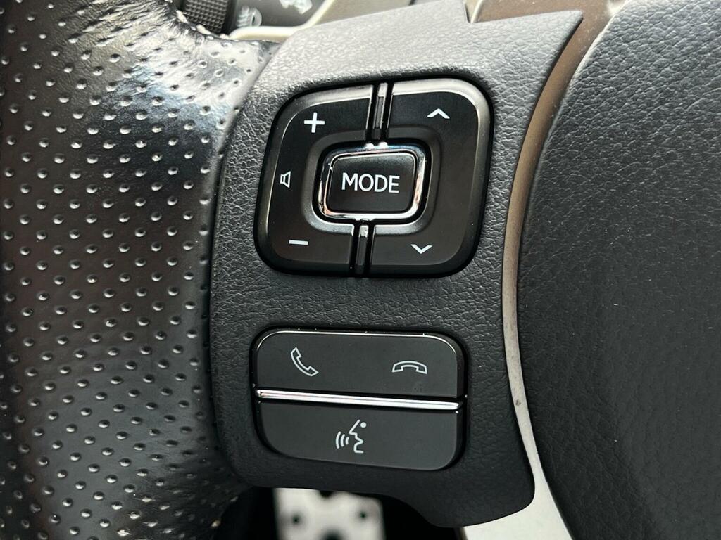 Lexus NX 300H 2.5 Luxury Cvt Premium Nav Red #33