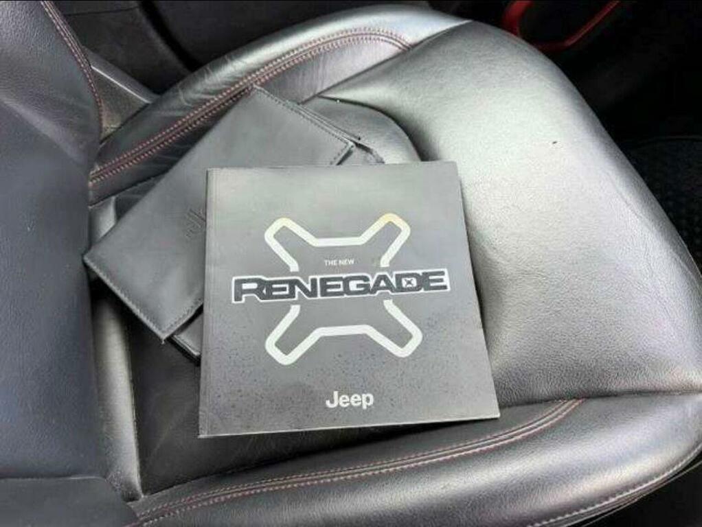 Jeep Renegade Night Eagle Brown #28