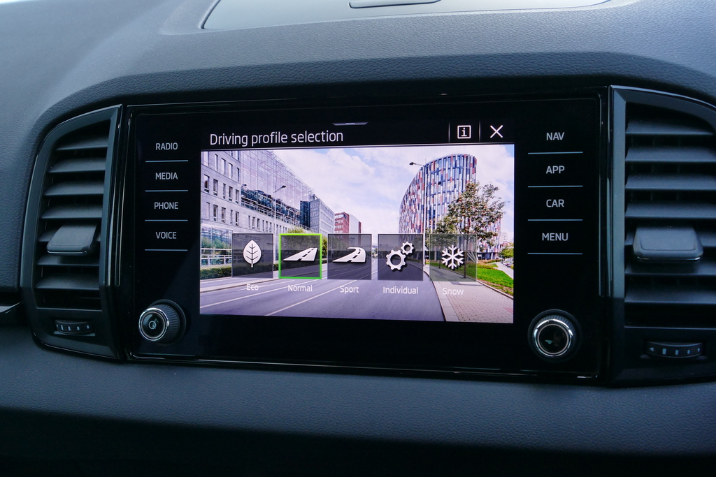 Skoda Karoq Se Technology Blue #25