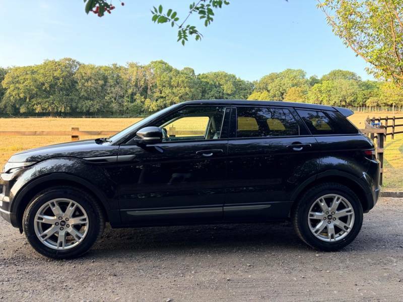 Land Rover Range Rover Evoque 2.2 Sd4 Pure Suv 4Wd Euro 5 Ss Black #6