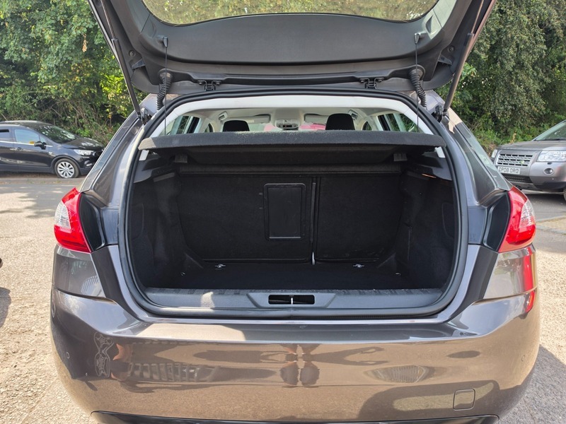 Peugeot 308  Blue #10
