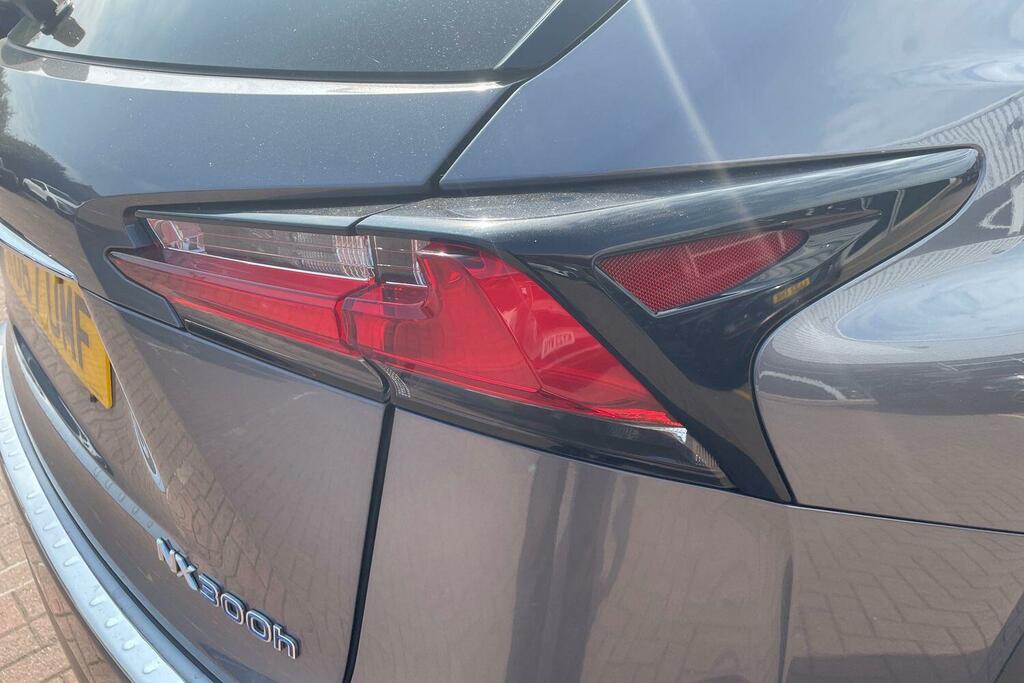 Lexus NX Lexus Nx300h Luxury Silver #22