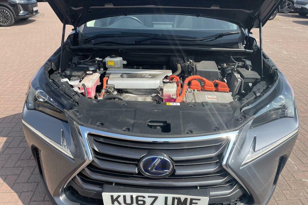 Lexus NX Lexus Nx300h Luxury Silver #25
