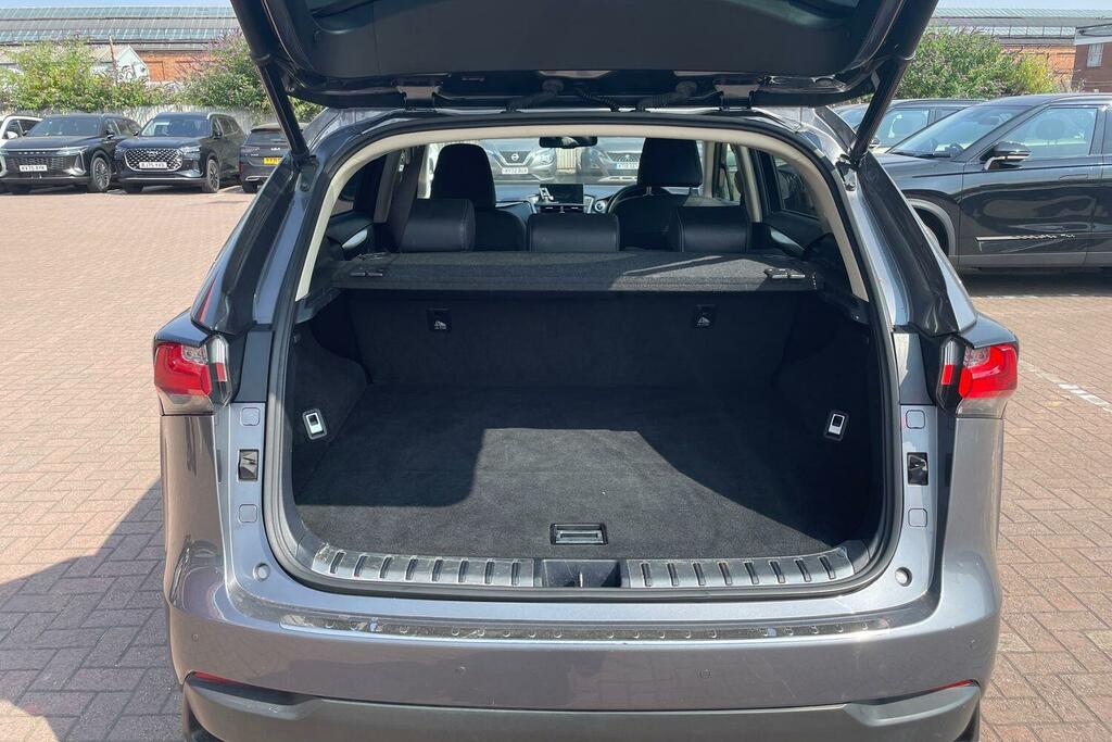 Lexus NX Lexus Nx300h Luxury Silver #17