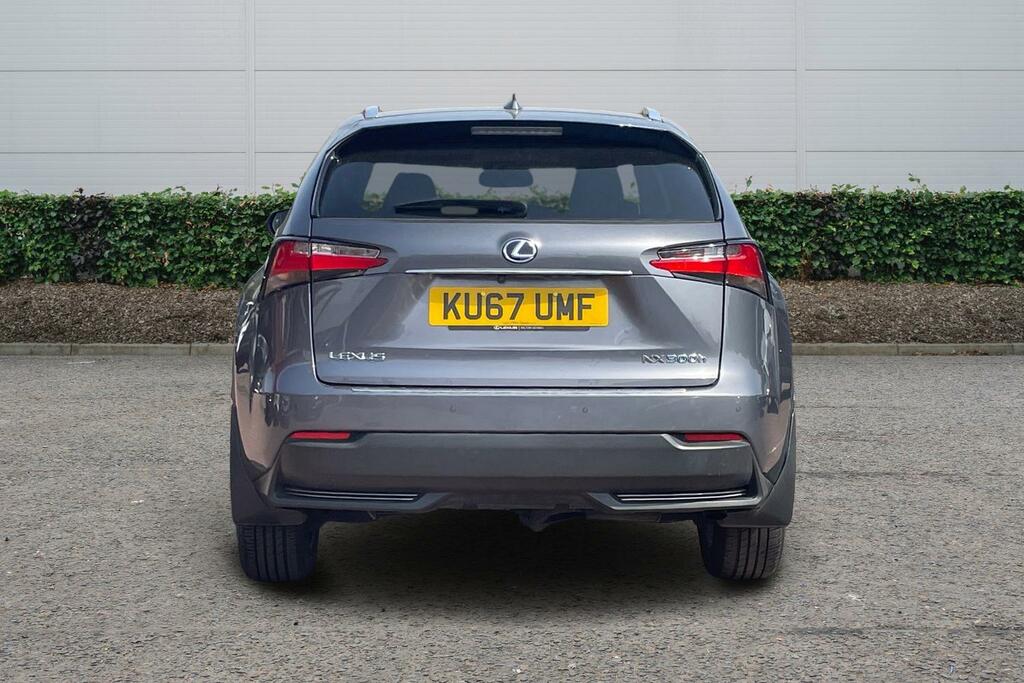 Lexus NX 300H 2.5 Luxury Cvt #5
