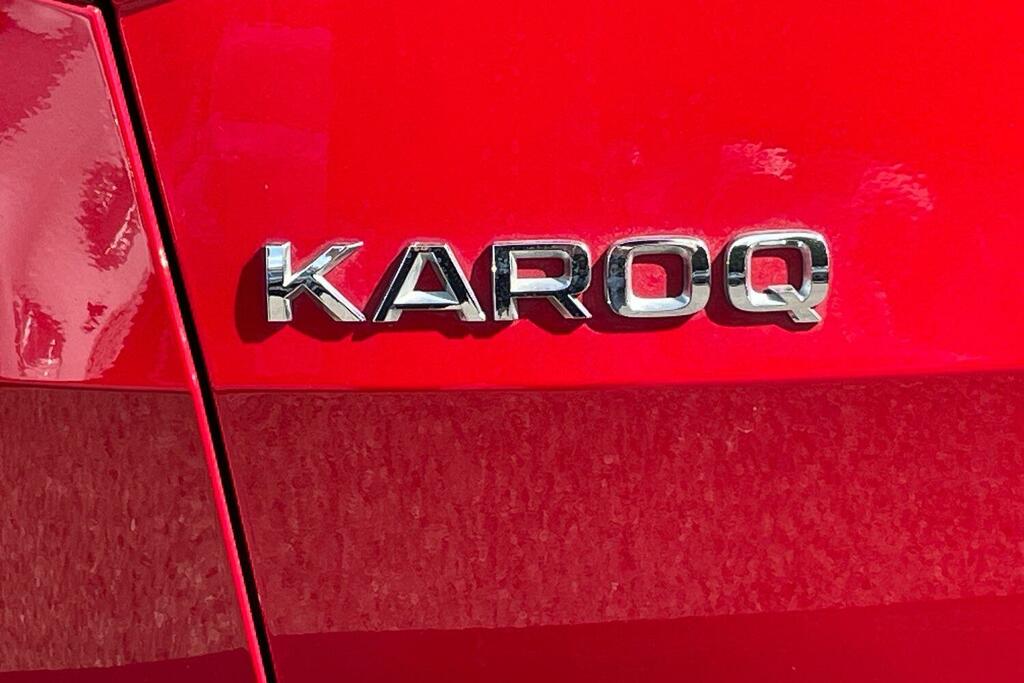 Skoda Karoq Se Blue #24