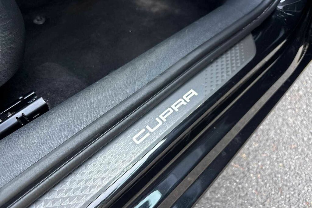 Cupra Leon 1.5 Etsi 150 V3 Dsg Blue #93