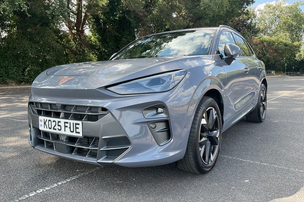 Cupra Terramar 1.5 Ehybrid 204 V2 Dsg Purple #38