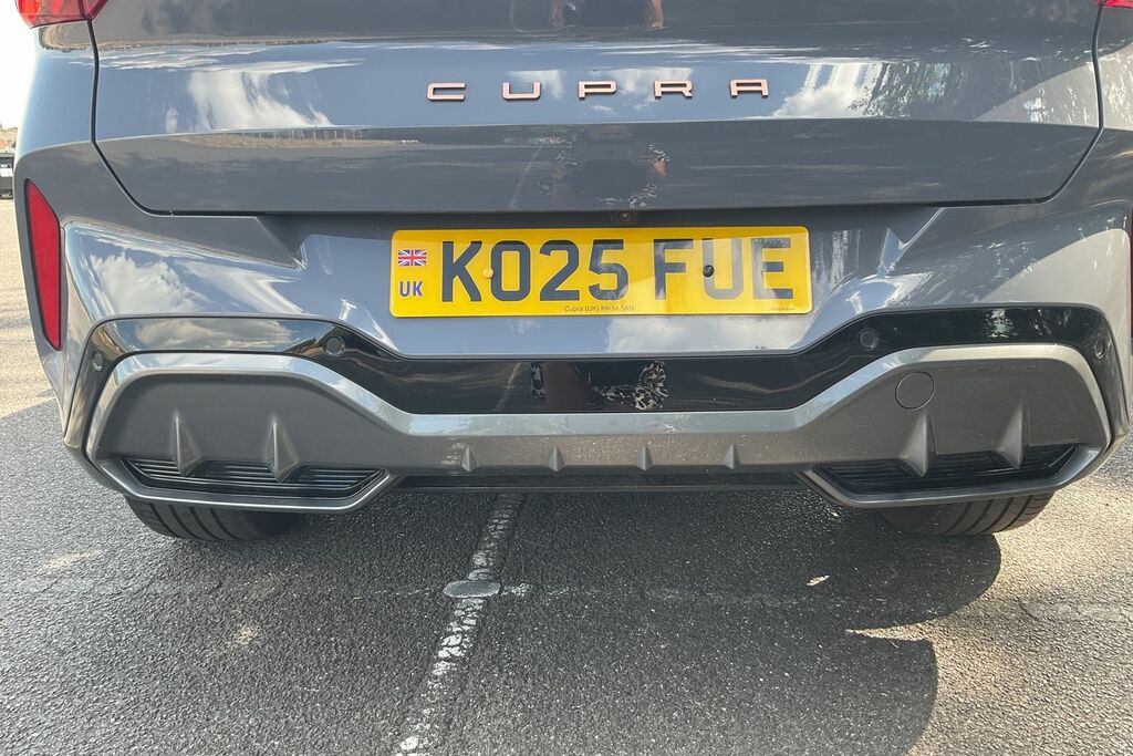 Cupra Terramar 1.5 Ehybrid 204 V2 Dsg Purple #43