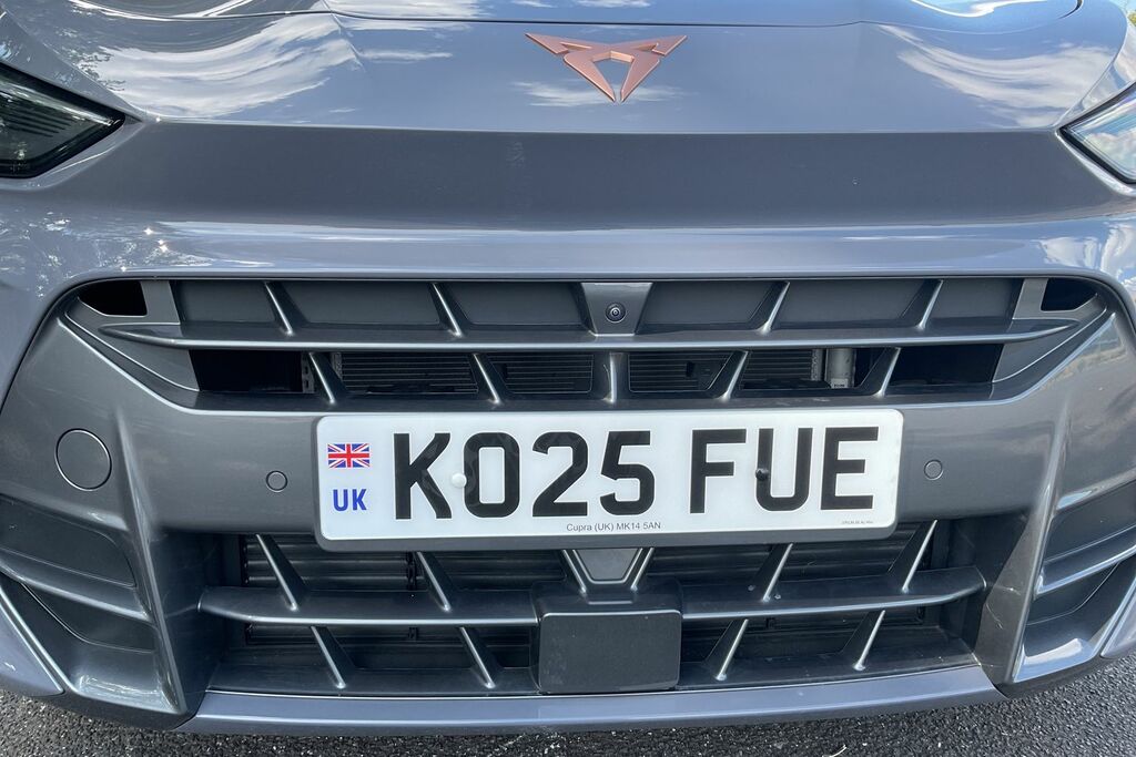 Cupra Terramar 1.5 Ehybrid 204 V2 Dsg Purple #40