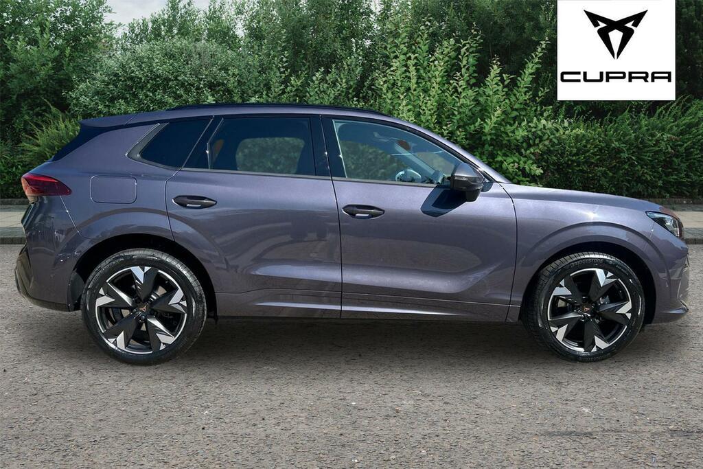 Cupra Terramar 1.5 Etsi 150 V2 Dsg Purple #4