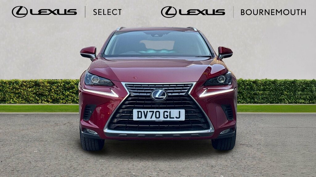 Lexus NX Estate 300H 2.5 White #21