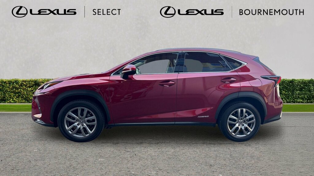 Lexus NX Estate 300H 2.5 White #23