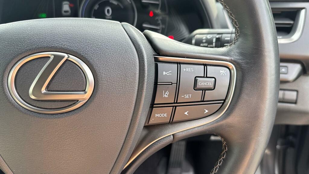 Lexus UX 250H 2.0 Premium Pack Bsm Rcta Grey #28