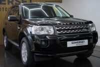 Land Rover Freelander 2 2 Gold #43