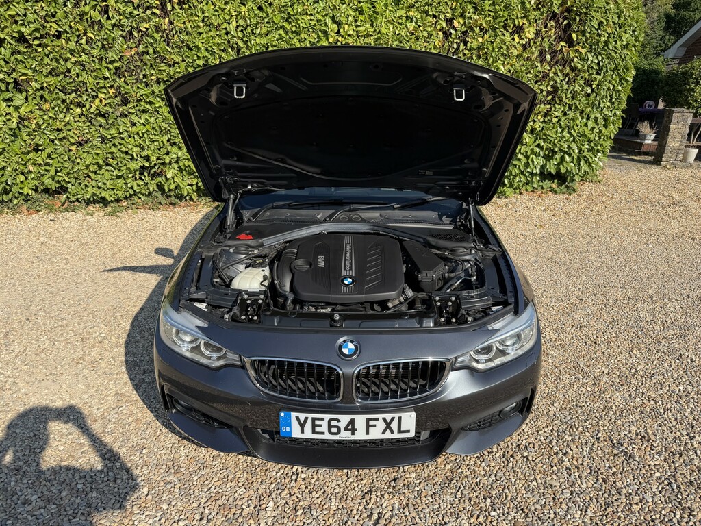 BMW 4 Series Gran Coupe 2.0 425D M Sport Coupe Euro 6 S Black #42