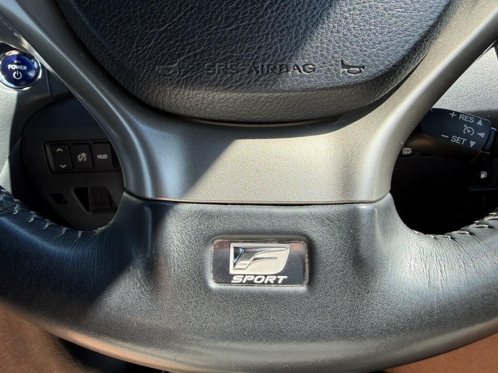 Lexus RX 450H F Sport Black #87