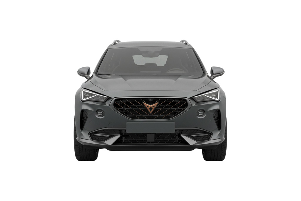 Cupra Formentor 1.4 Ehybrid 204 V1 Dsg Grey #2