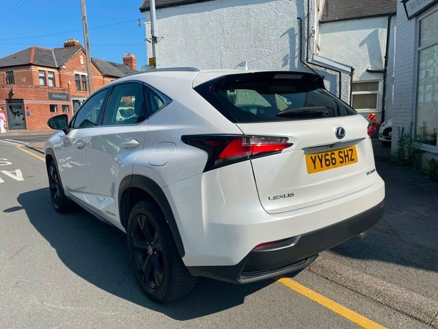 Lexus NX 300H Sport Suv White #6