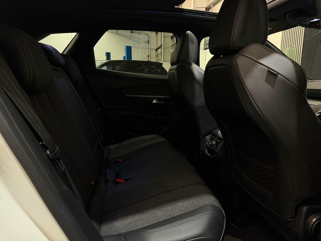 Peugeot 3008 Active Grey #29