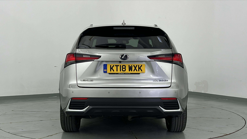 Lexus NX 300H Luxury #6
